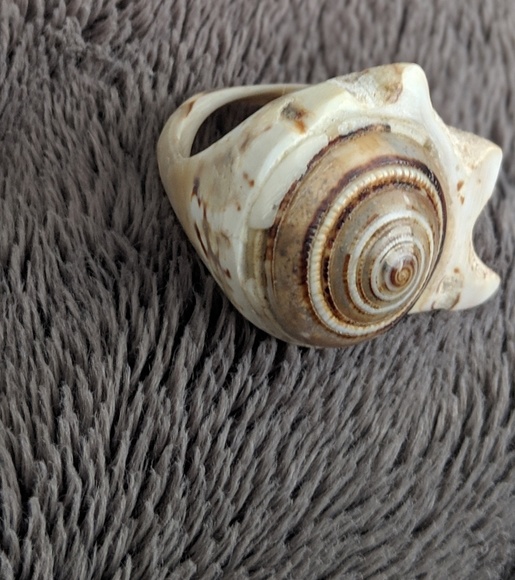 SHELL RING - Picture 1 of 5